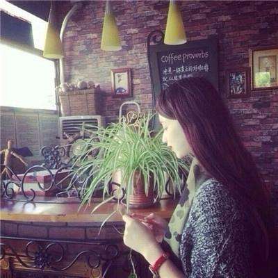 双赢彩票官方网站截图